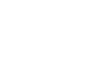 Fox Logo Icon