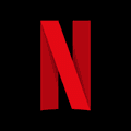 Netflix Logo Icon