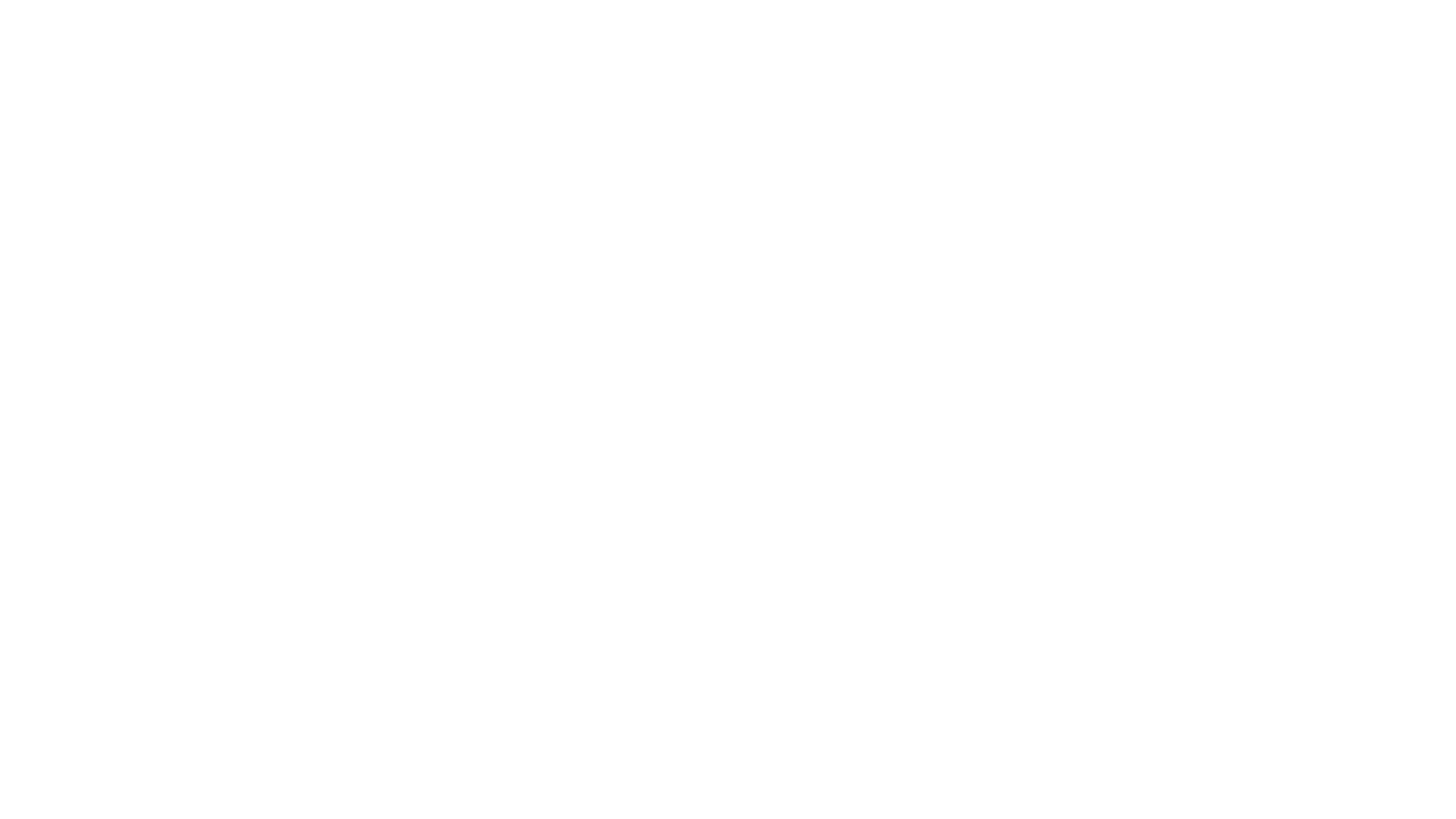 USA Network Logo
