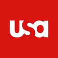 USA Logo Icon